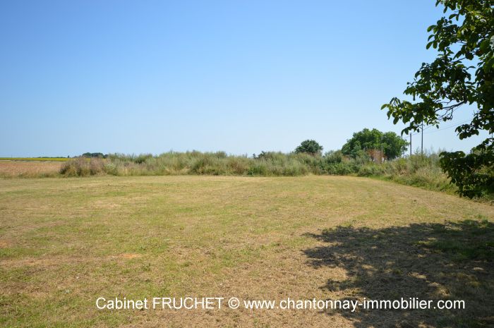 Vaste maison en pierre offrant de beaux volumes SAINTE-HERMINE immobilier à vendre au prix de 184625 euros